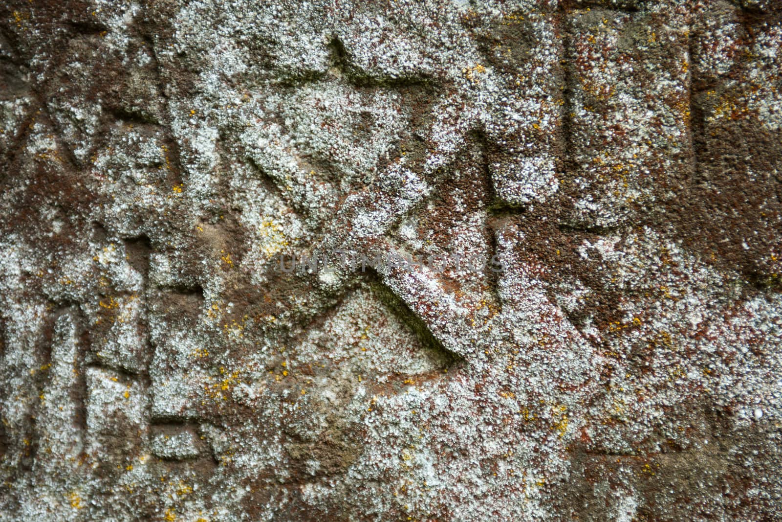 Moss-grown surface of the old stone cross by rootstocks