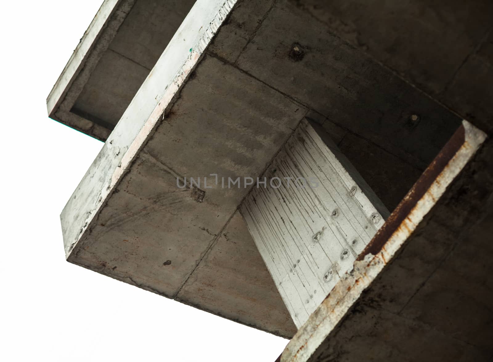 Concrete surfaces of the unfinished building by rootstocks