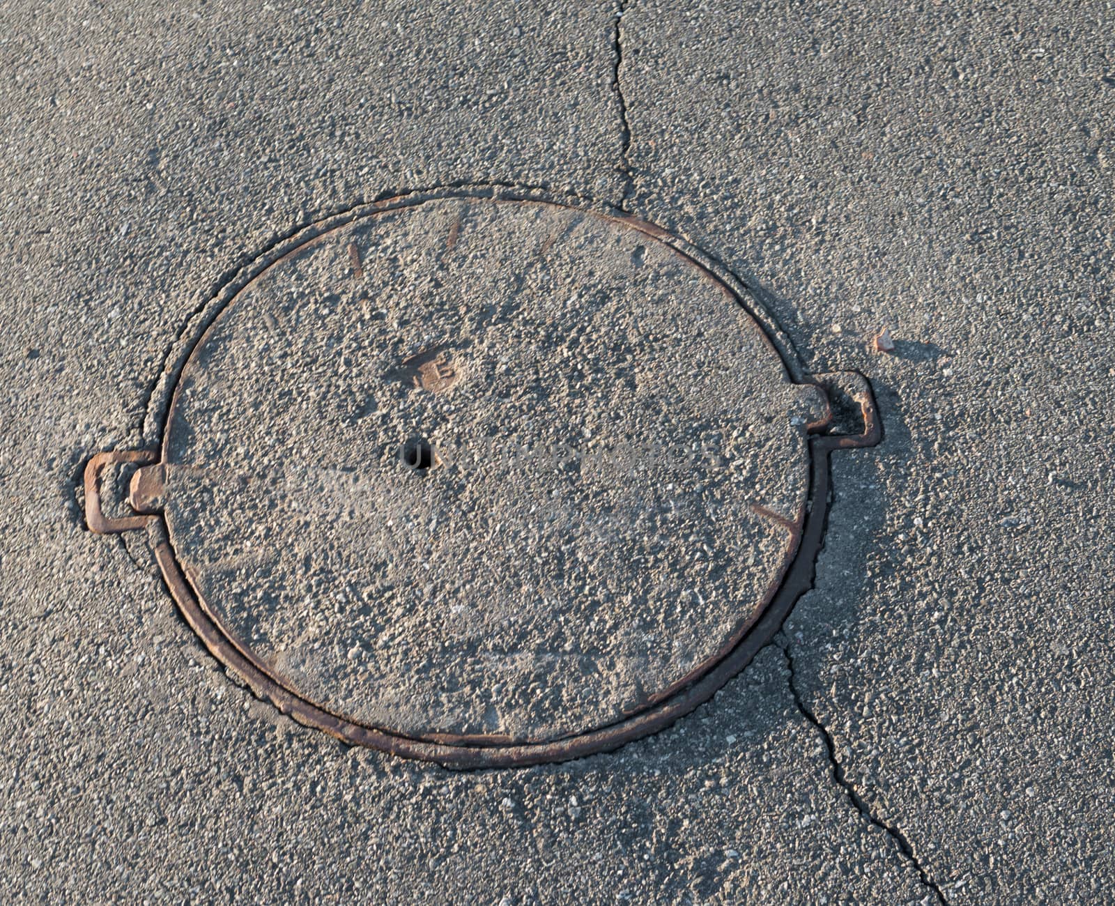 Manhole with the cover paved with asphalt by rootstocks