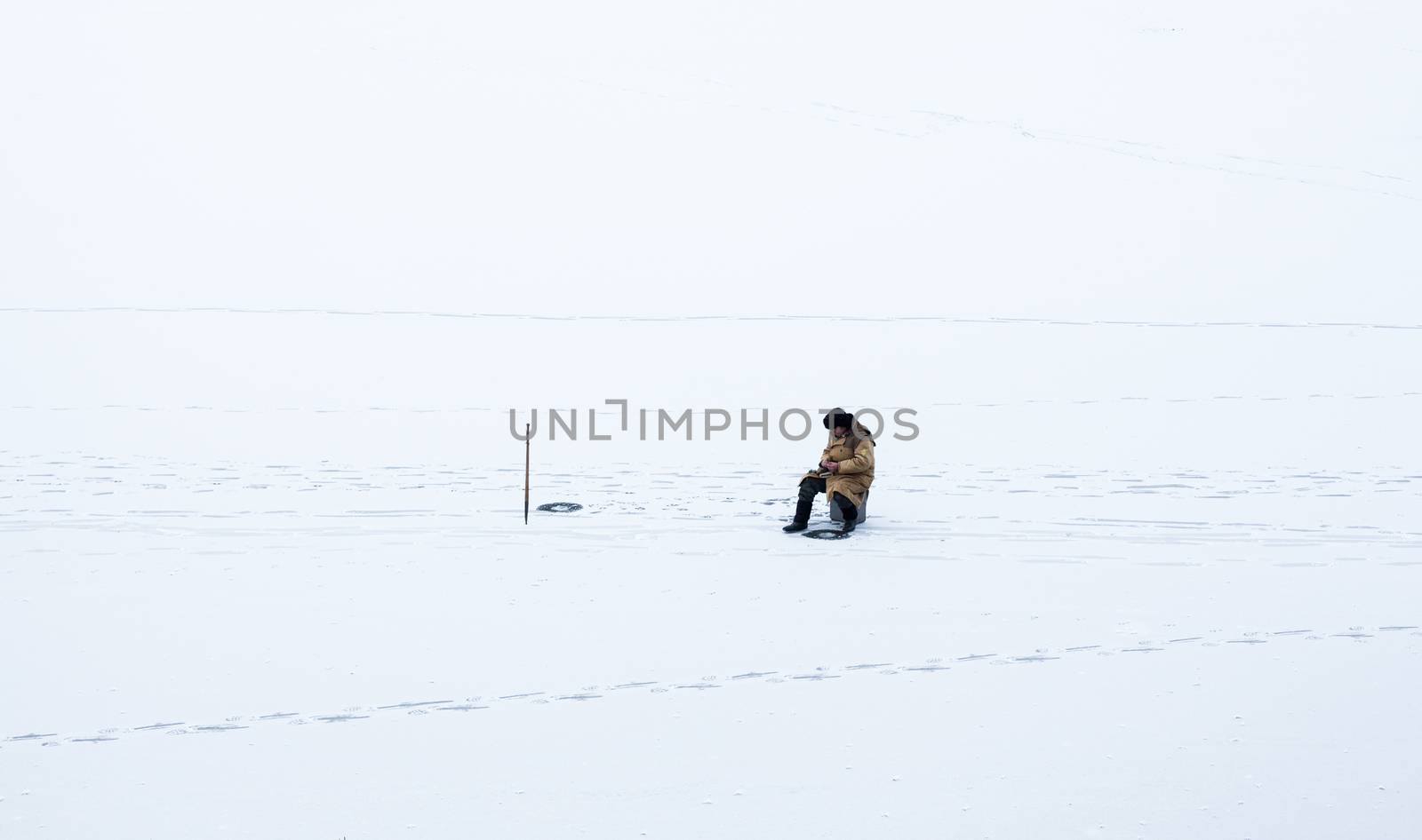 Winter fishing by rootstocks