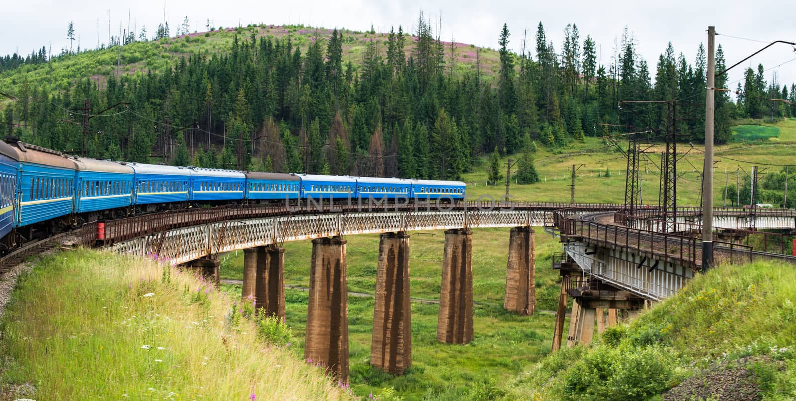 Train going across the bridge in the Carpathians by rootstocks