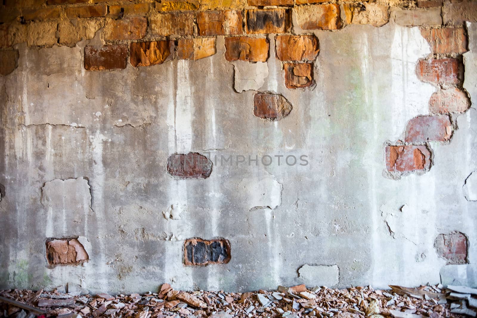 Old brick wall with the damaged plaster by rootstocks