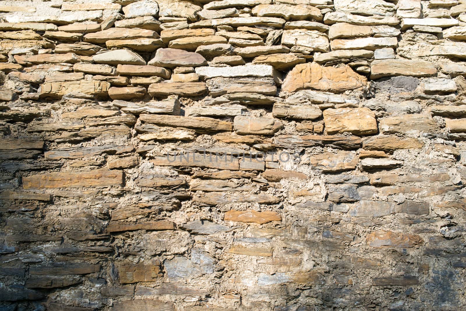 Stone masonry with rich and various texture by rootstocks