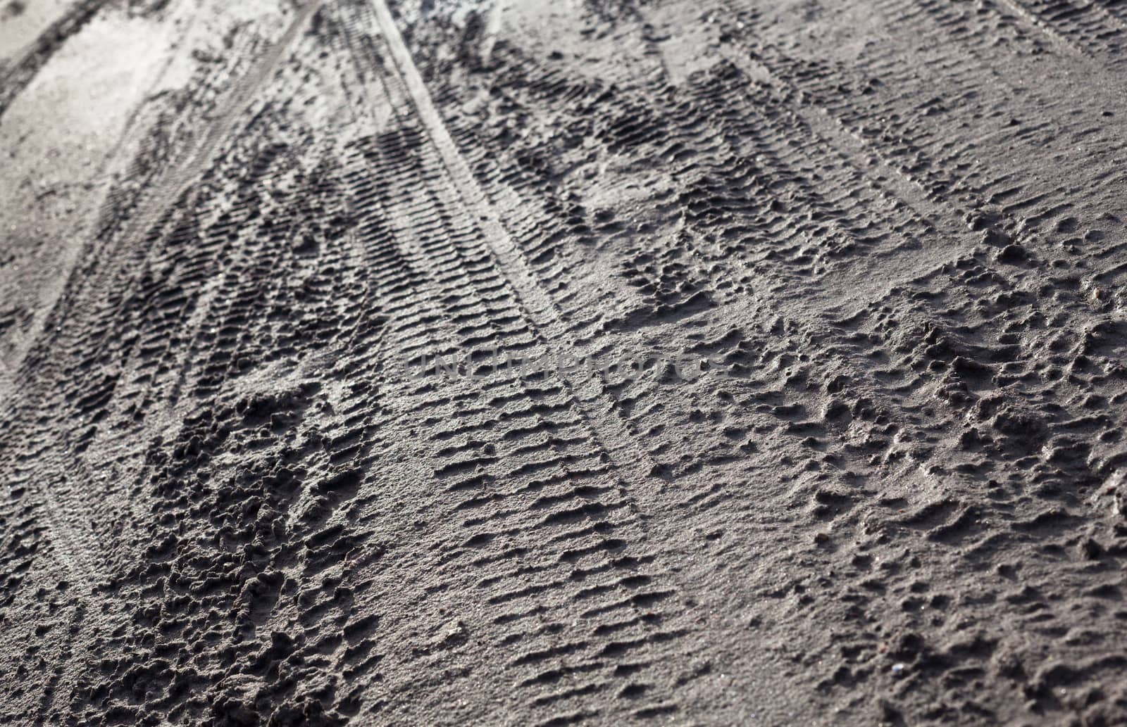 Wheel tracks on the dirt road by rootstocks