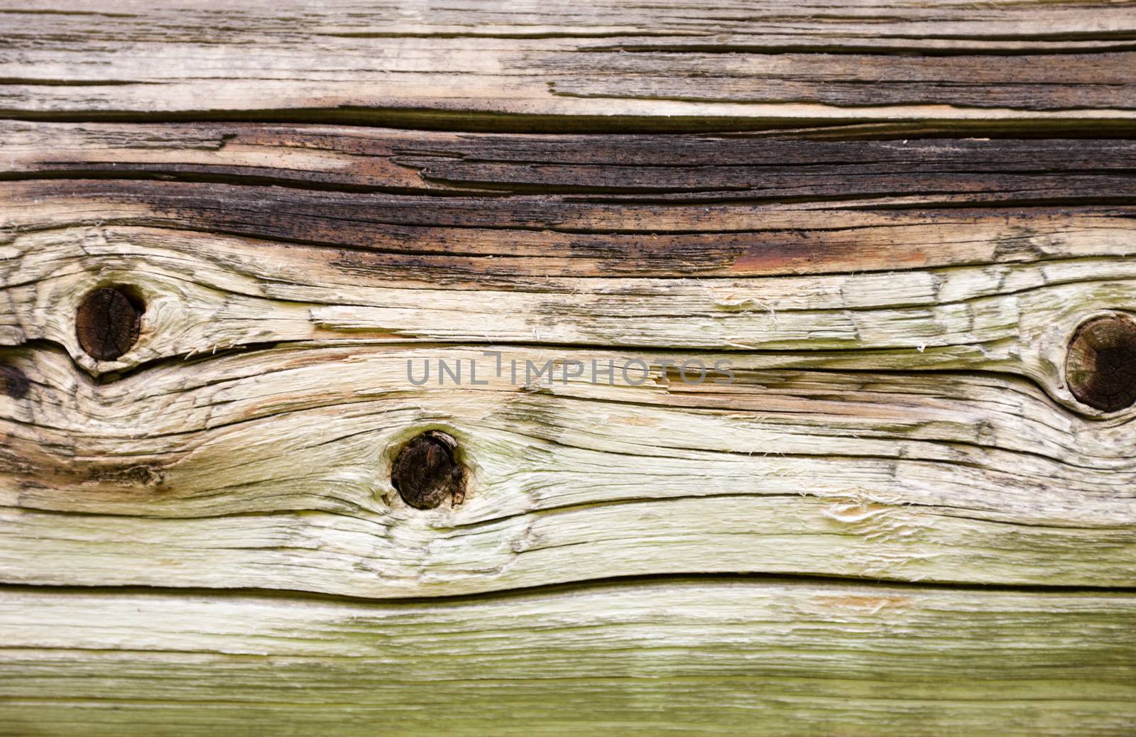 Wooden wall of the old log house by rootstocks
