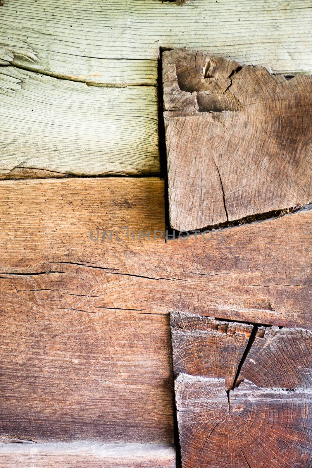The corner of the old log house by rootstocks