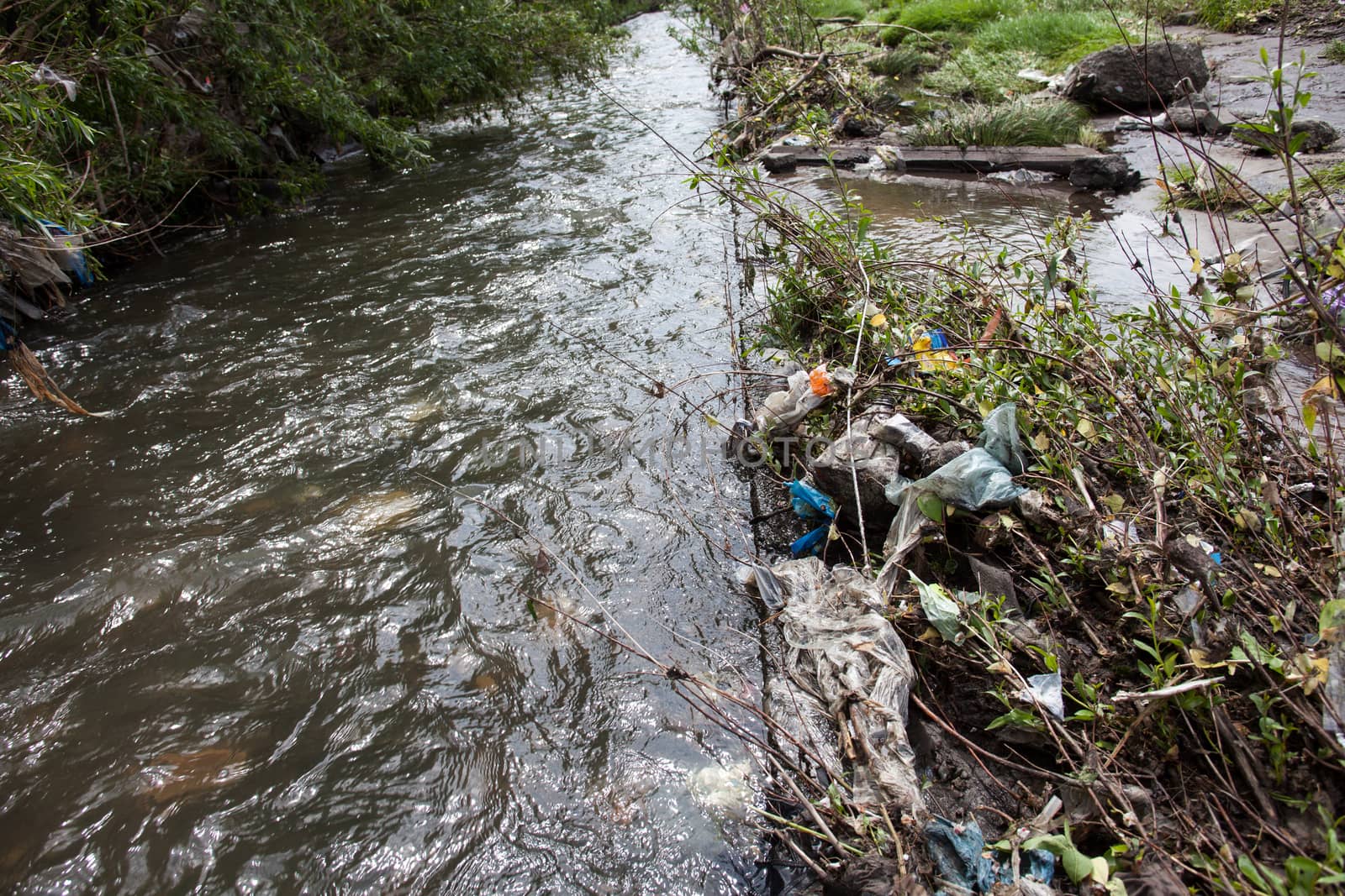Water pollution. Garbage near the urban stream.