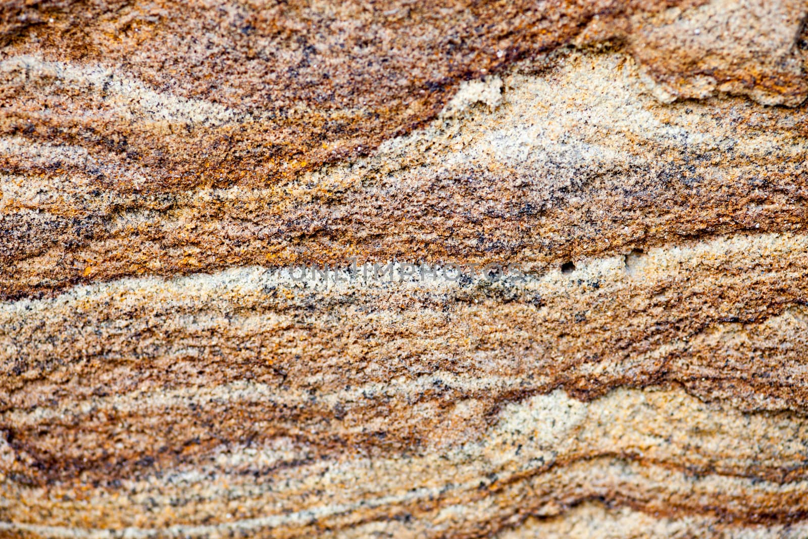 Sandstone surface with rich and various texture.