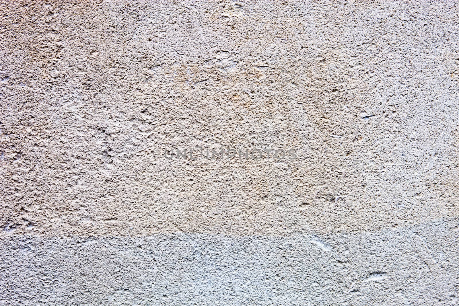 Concrete surface with rich and various texture by rootstocks