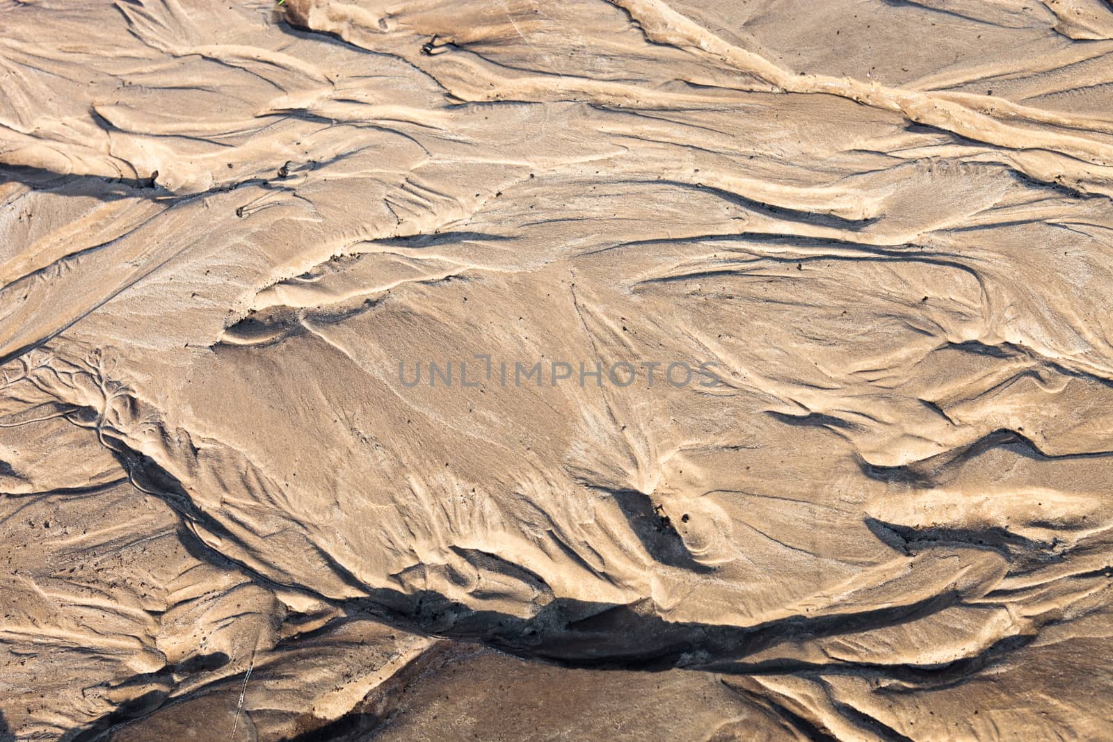 Sand surface with the relief formed by water currents by rootstocks