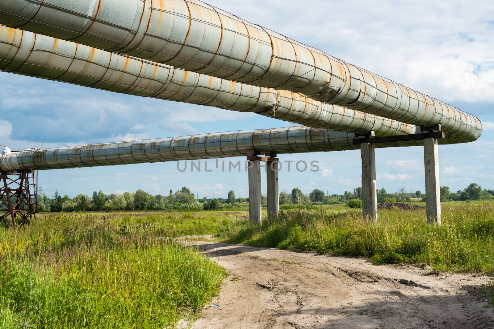 Elevated section of the pipelines above the dirt road by rootstocks