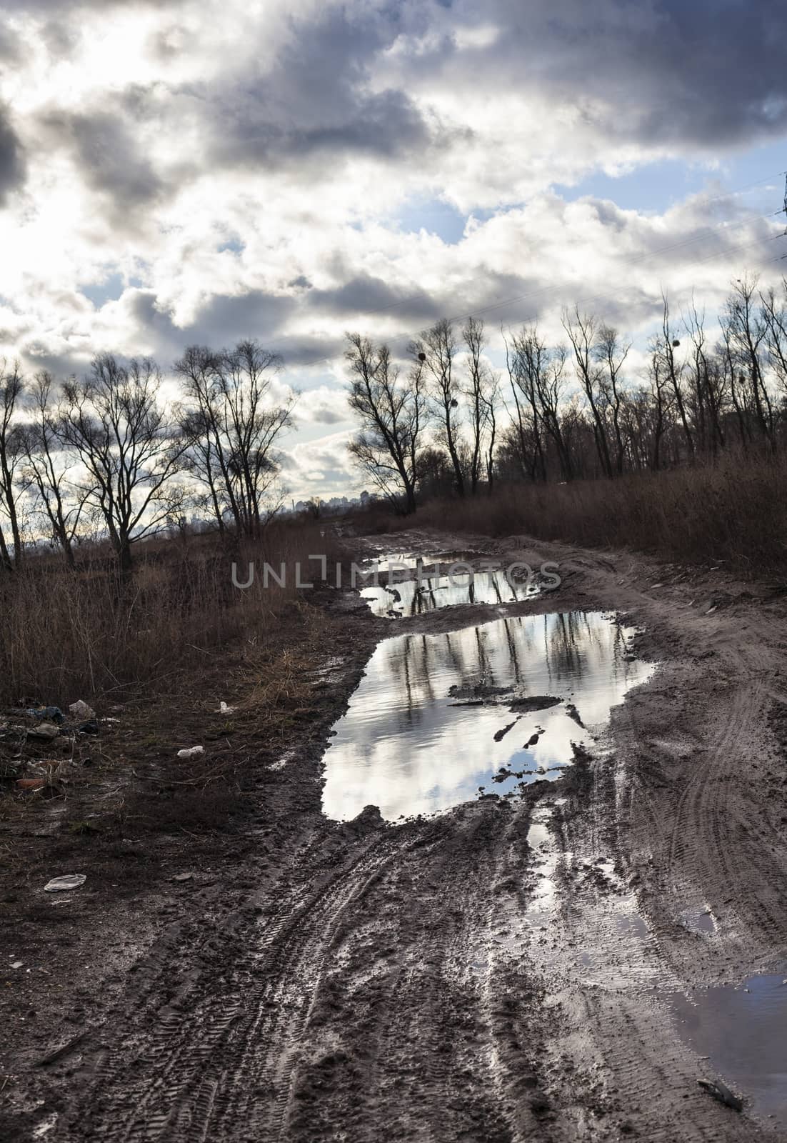 Mud and puddles on the dirt road by rootstocks