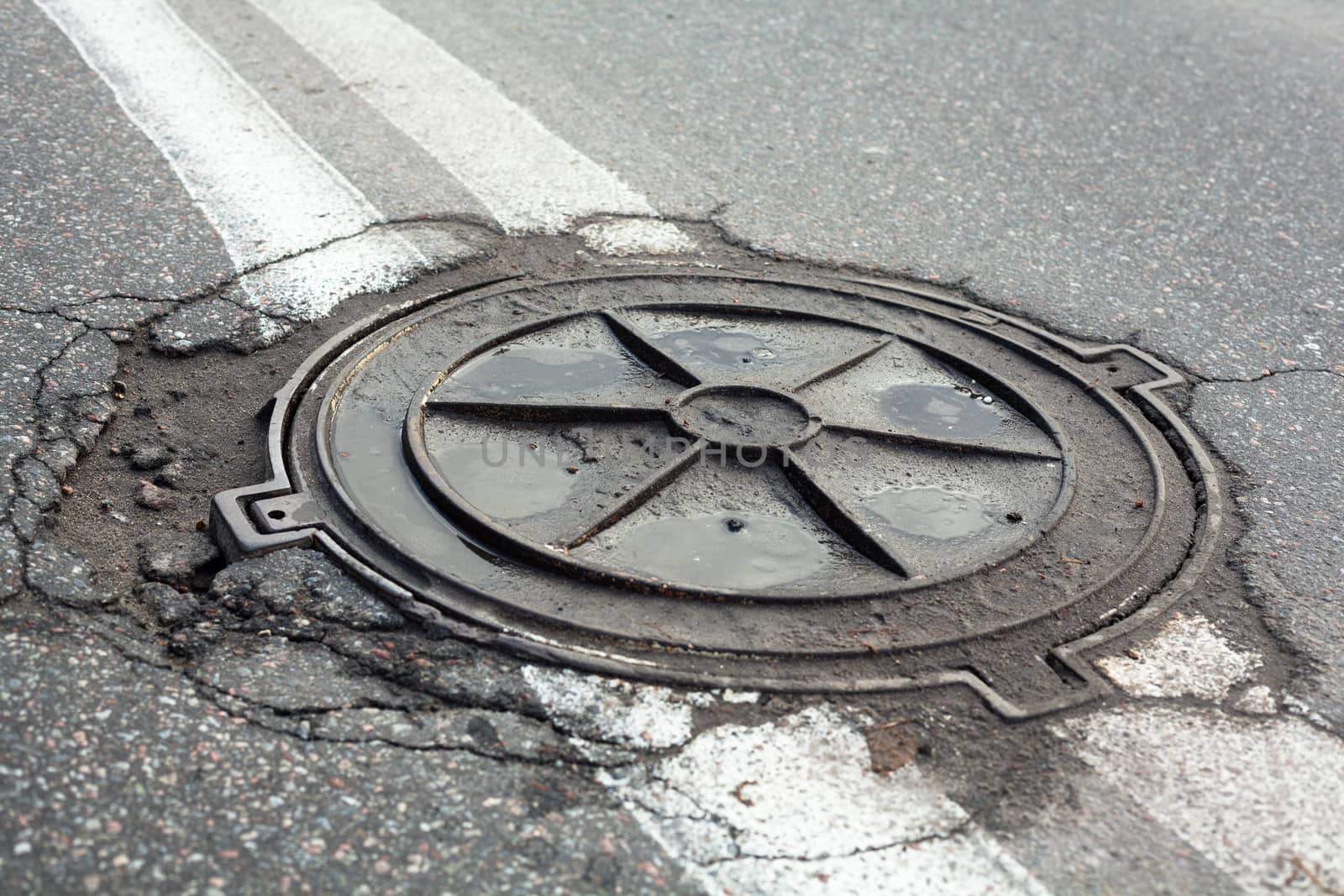 Manhole on the road by rootstocks
