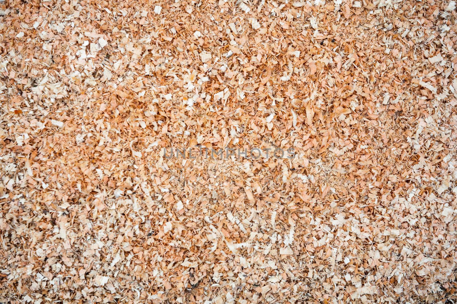 Wood sawdust by rootstocks
