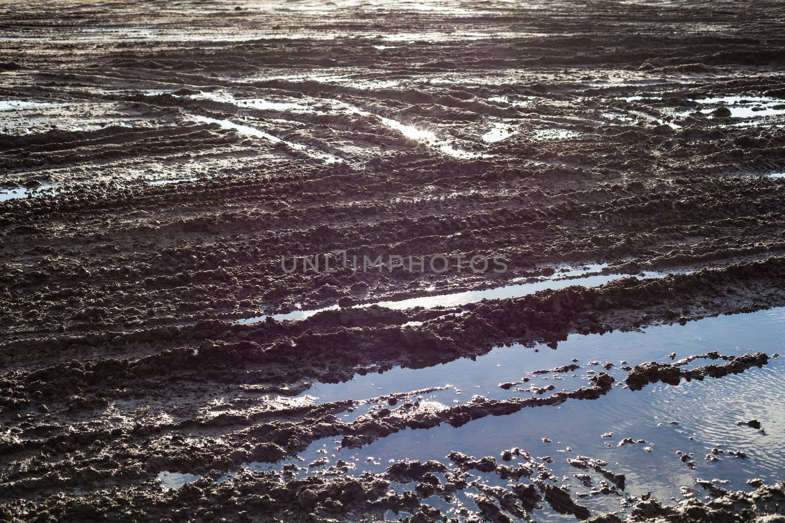 Wet ground surface after the rain with lots of wheel tracks