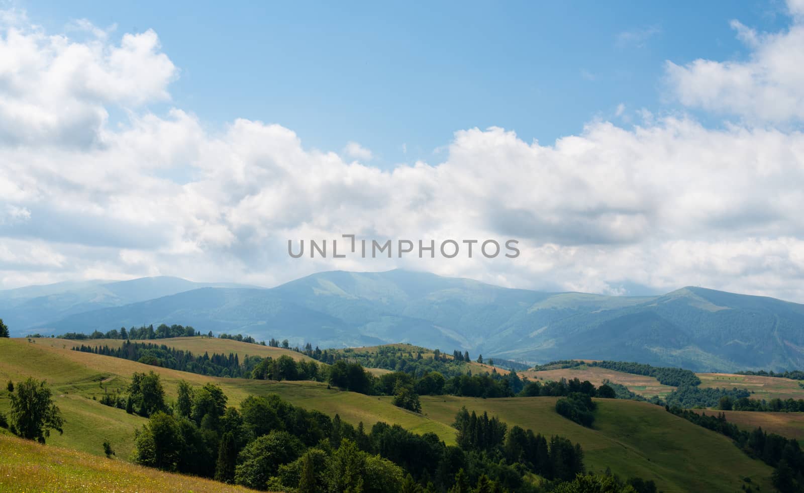 Summer landscape in the Ukrainian Carpathian Mountains.