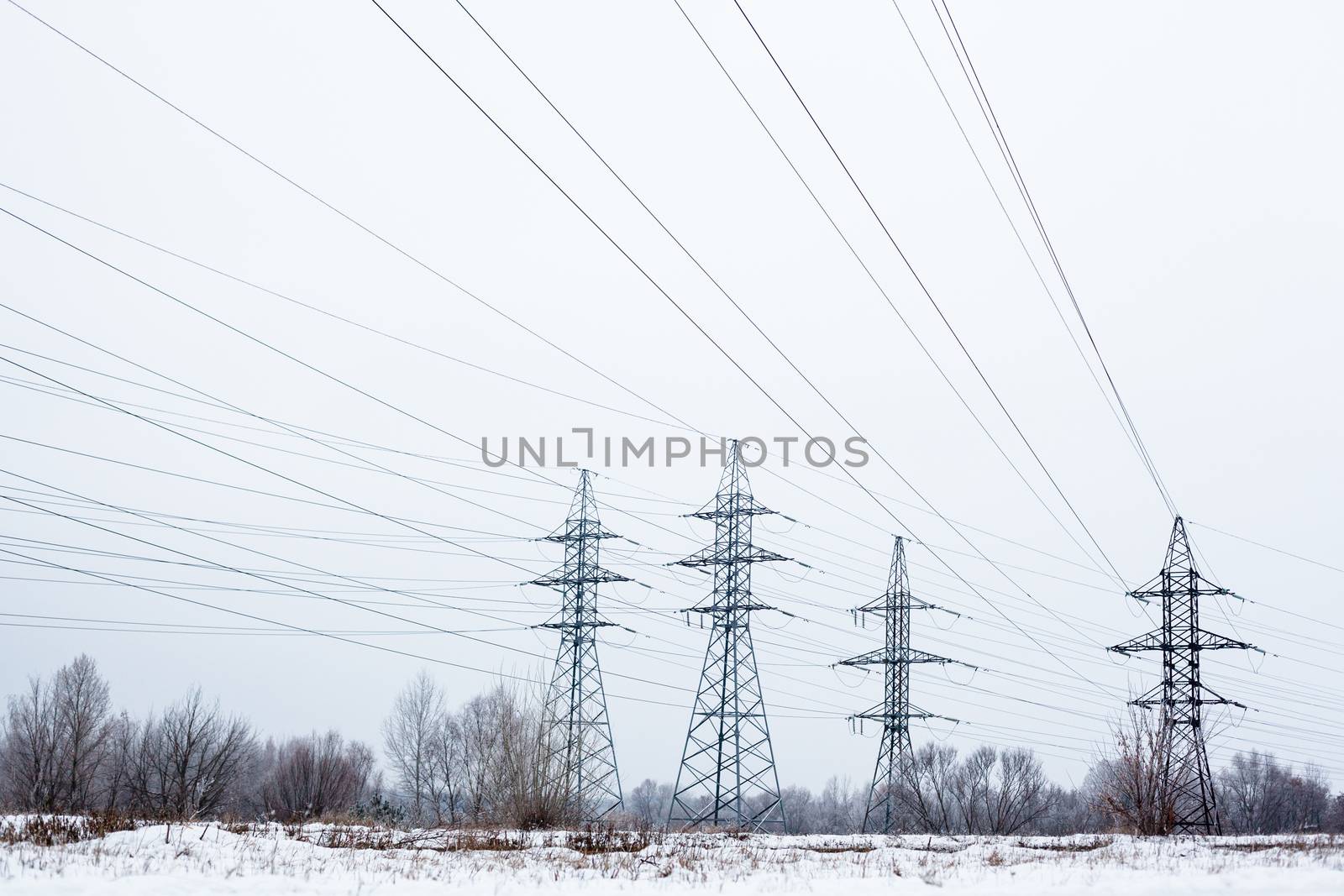 Electricity pylons and power lines in the winter day by rootstocks