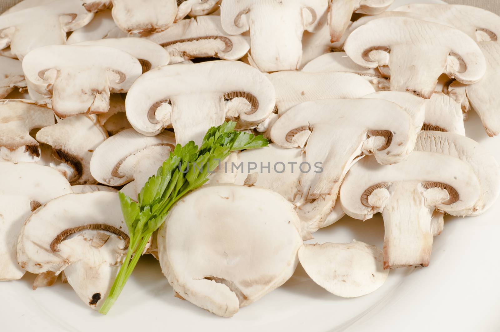 view of porcini mushrooms sliced and served on a white plate