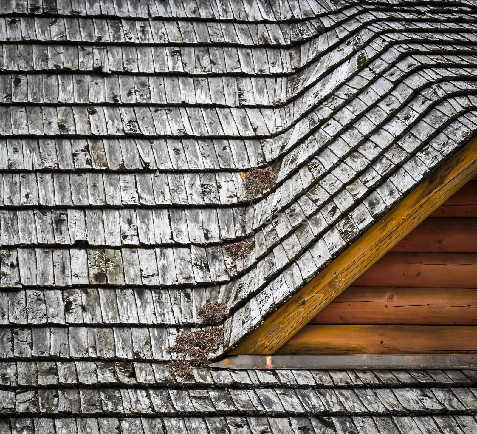 background or texture detail dormers on the roof shingles