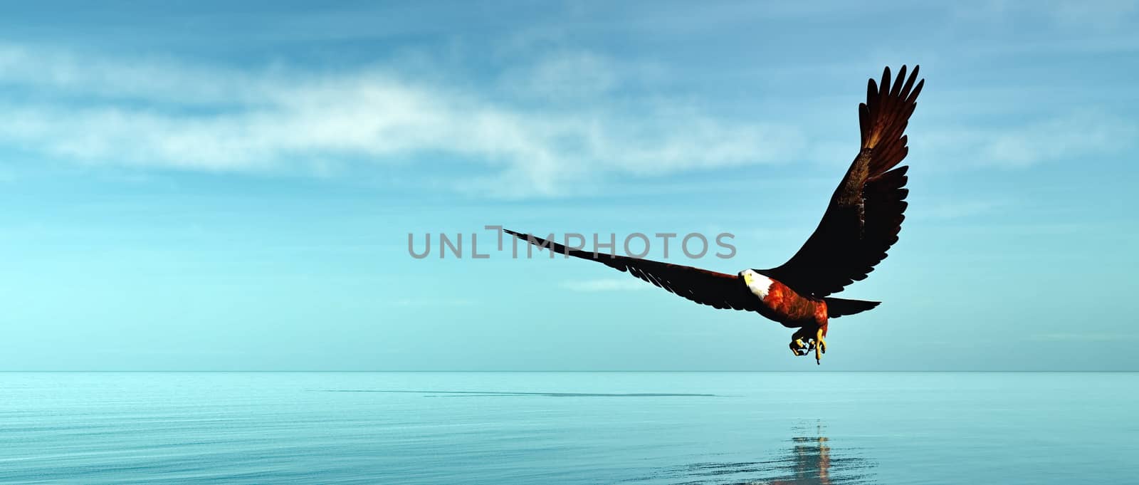 Eagle flying upon ocean by day - 3D render
