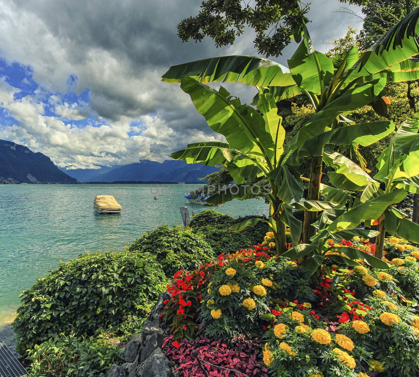 Geneva or Leman lake by spring, Switzerland