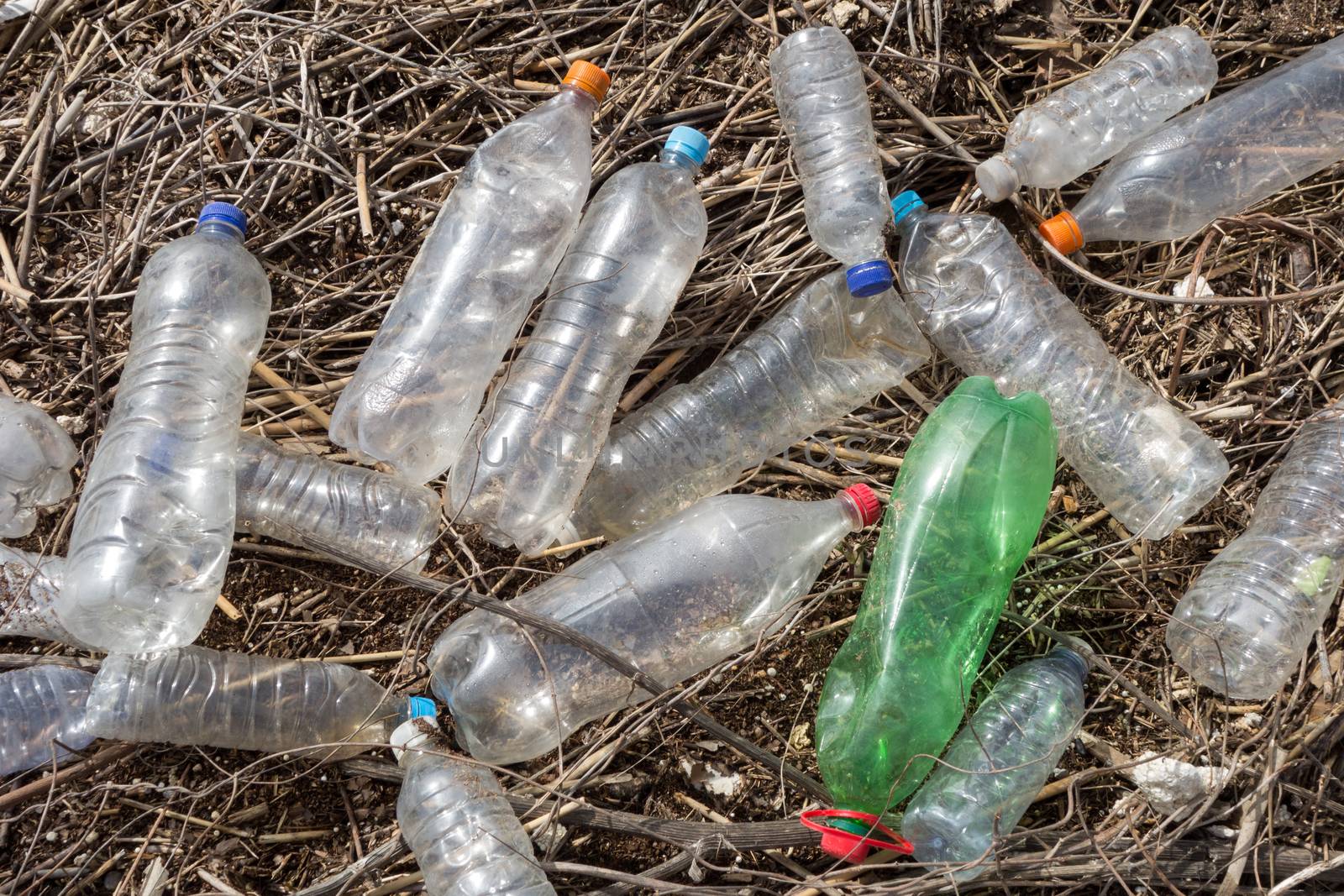 Beach pollution. Plastic bottles and other trash on river beach