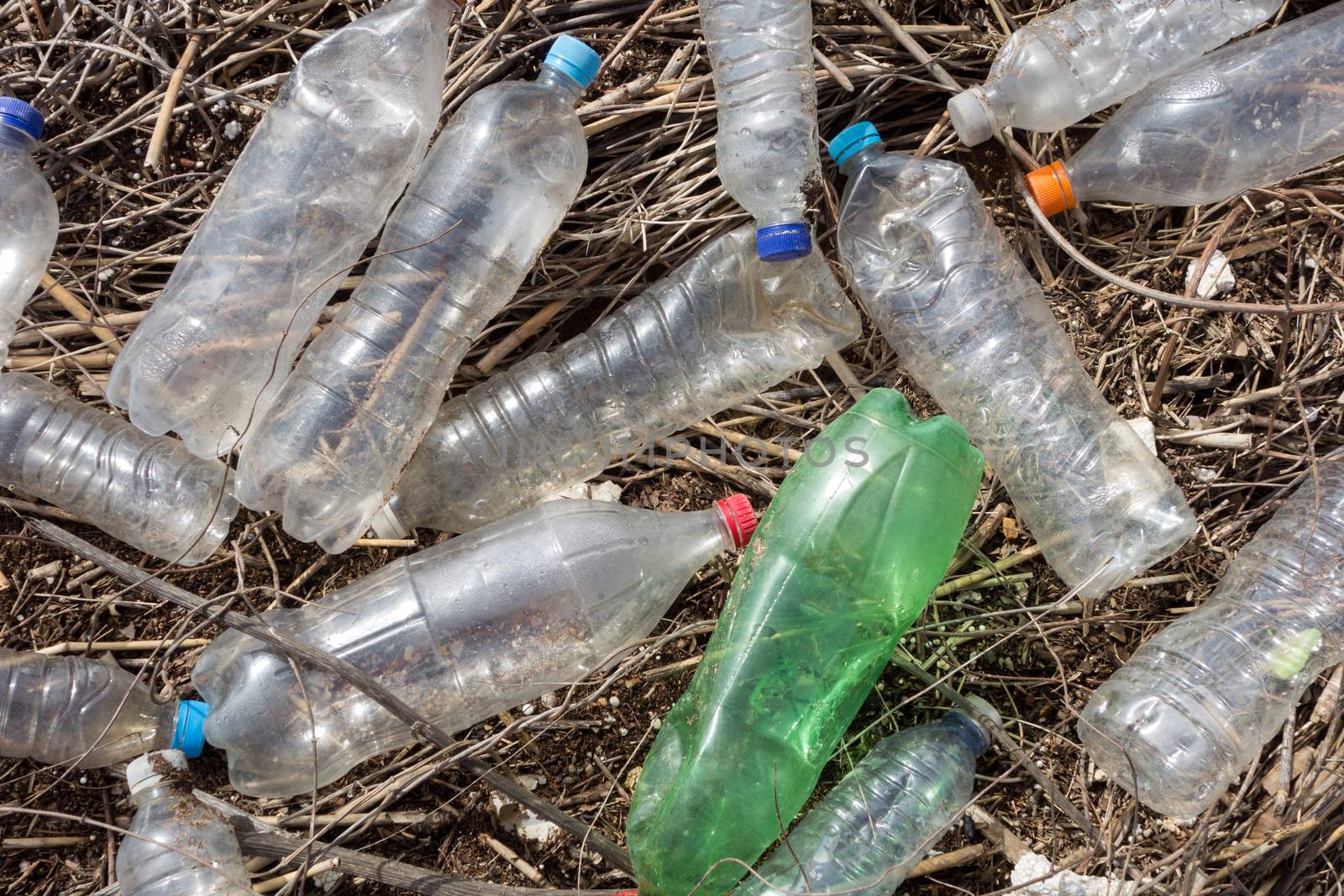 Beach pollution. Plastic bottles and other trash on river beach