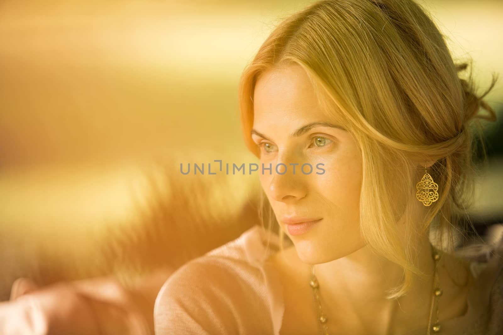 portrait of a beautiful young woman in a spring park. pictures in warm colors