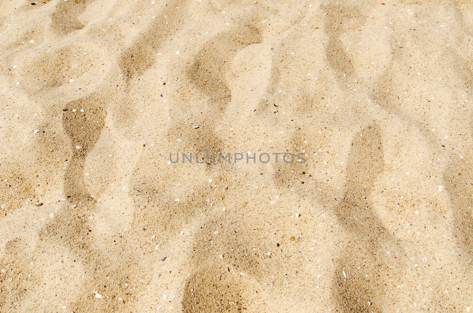 yellow sand on beach as background by mycola