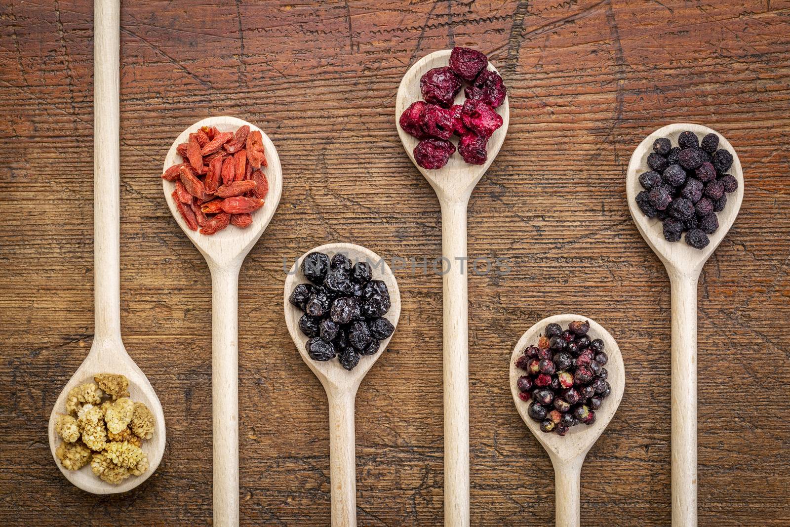 healthy dried berry collection (blueberry, mulberry, cherry, goji, elderberry, chokeberry,) on  wooden spoons against rustic wood