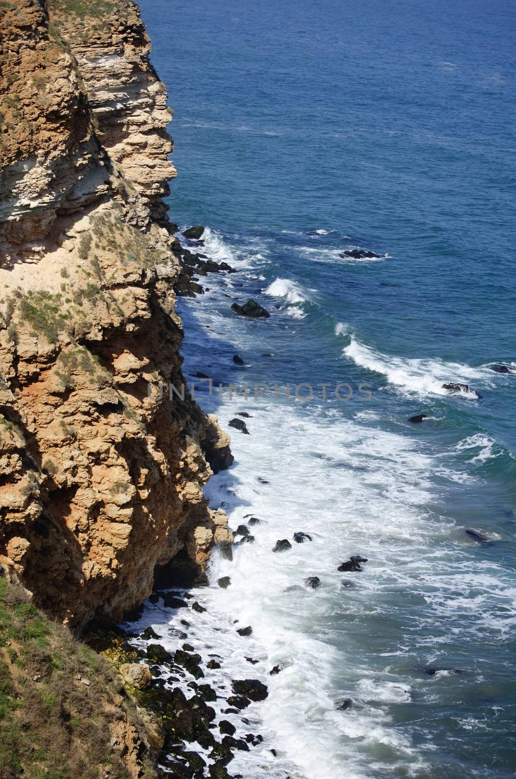 Photo of the Black Sea Landscaping View 