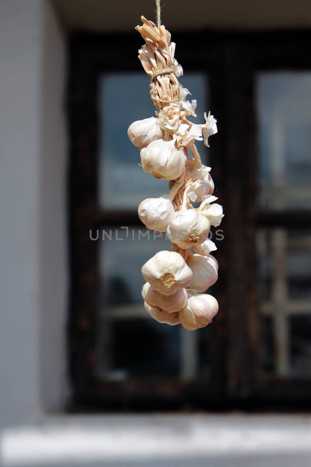 Garlic bunch hanging in front of the window and dried