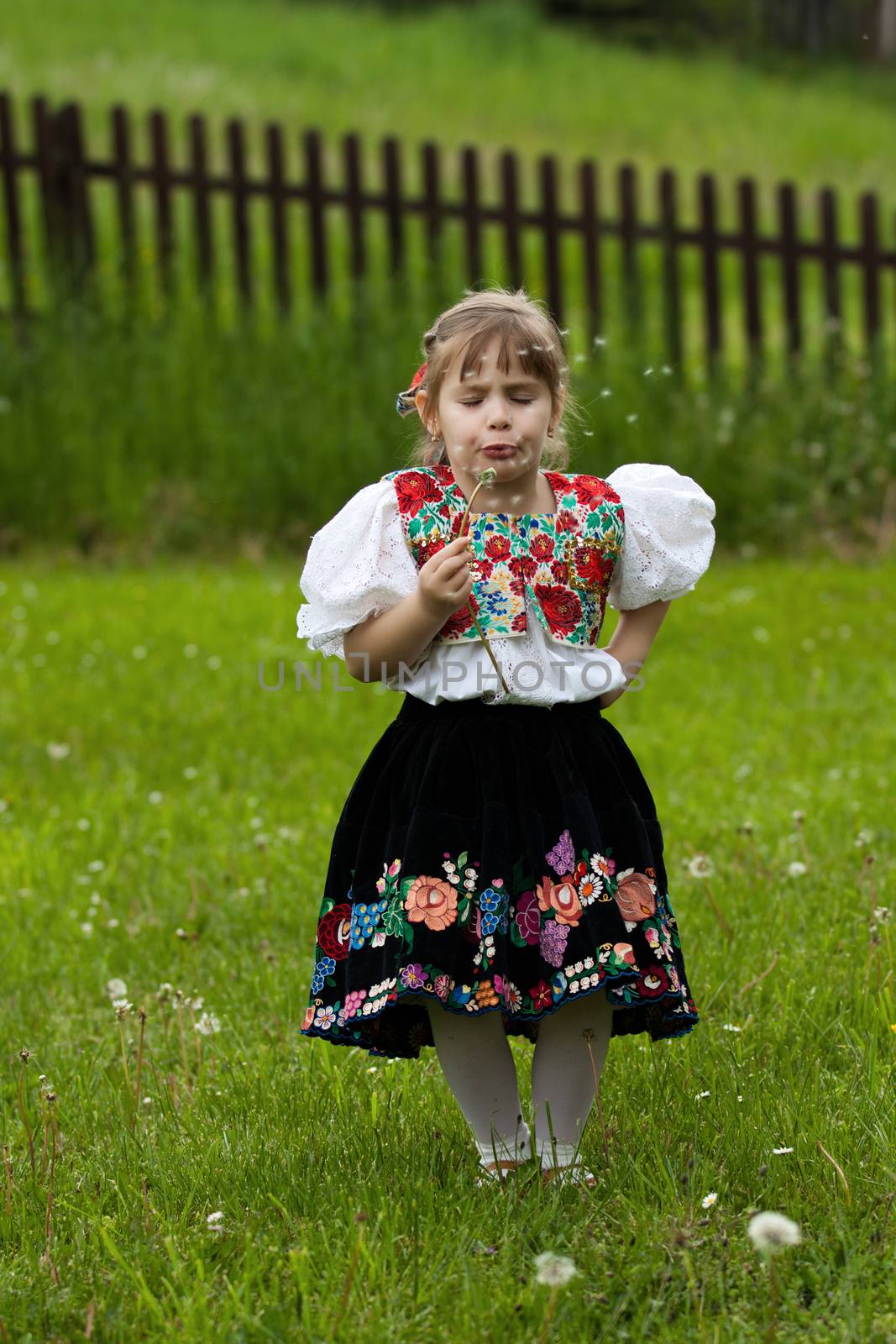 Little girl dressed in traditional costume, blowing to dandelion