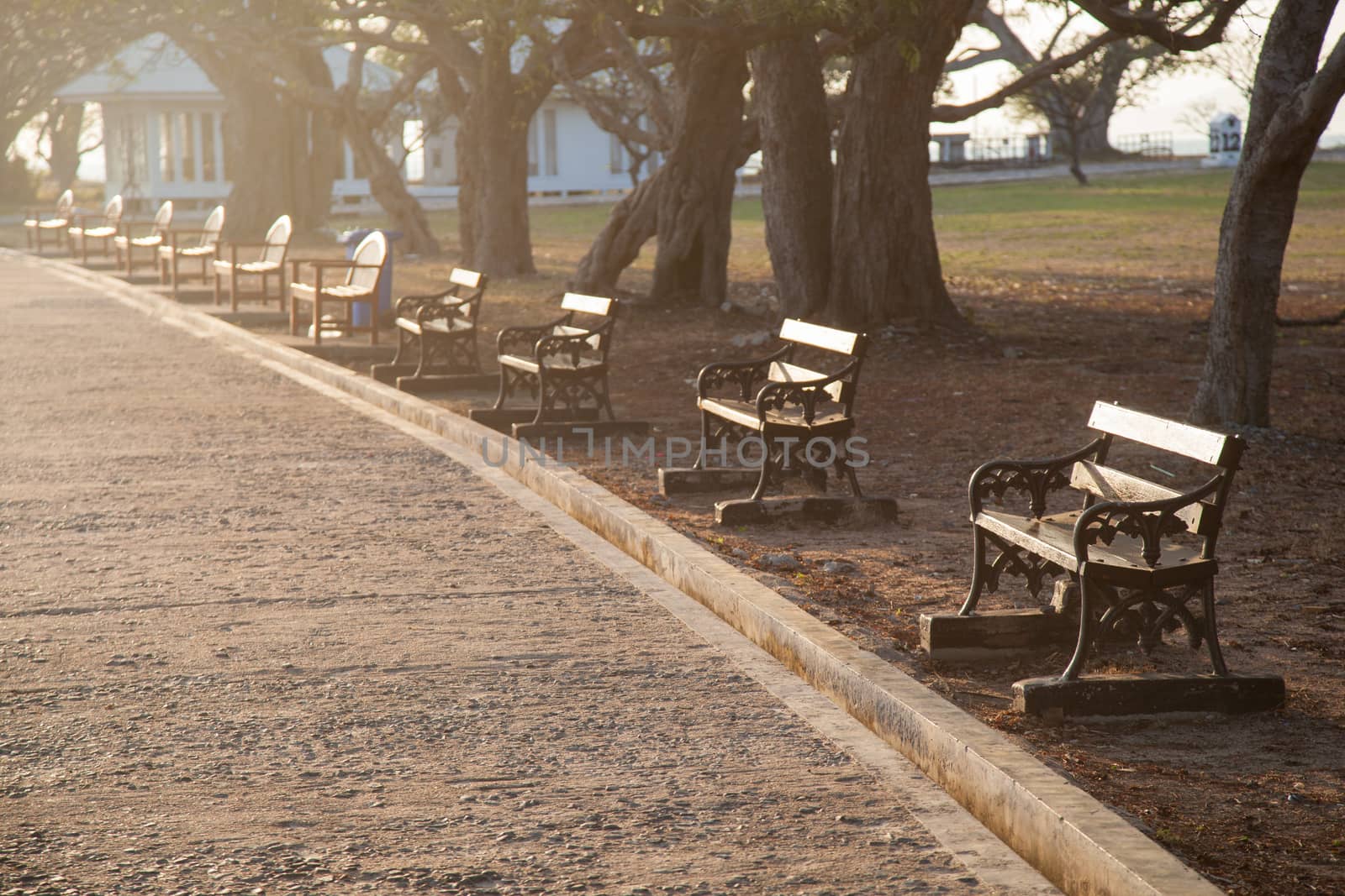 Benches along the walkway. Under the trees in the morning sun reflected.