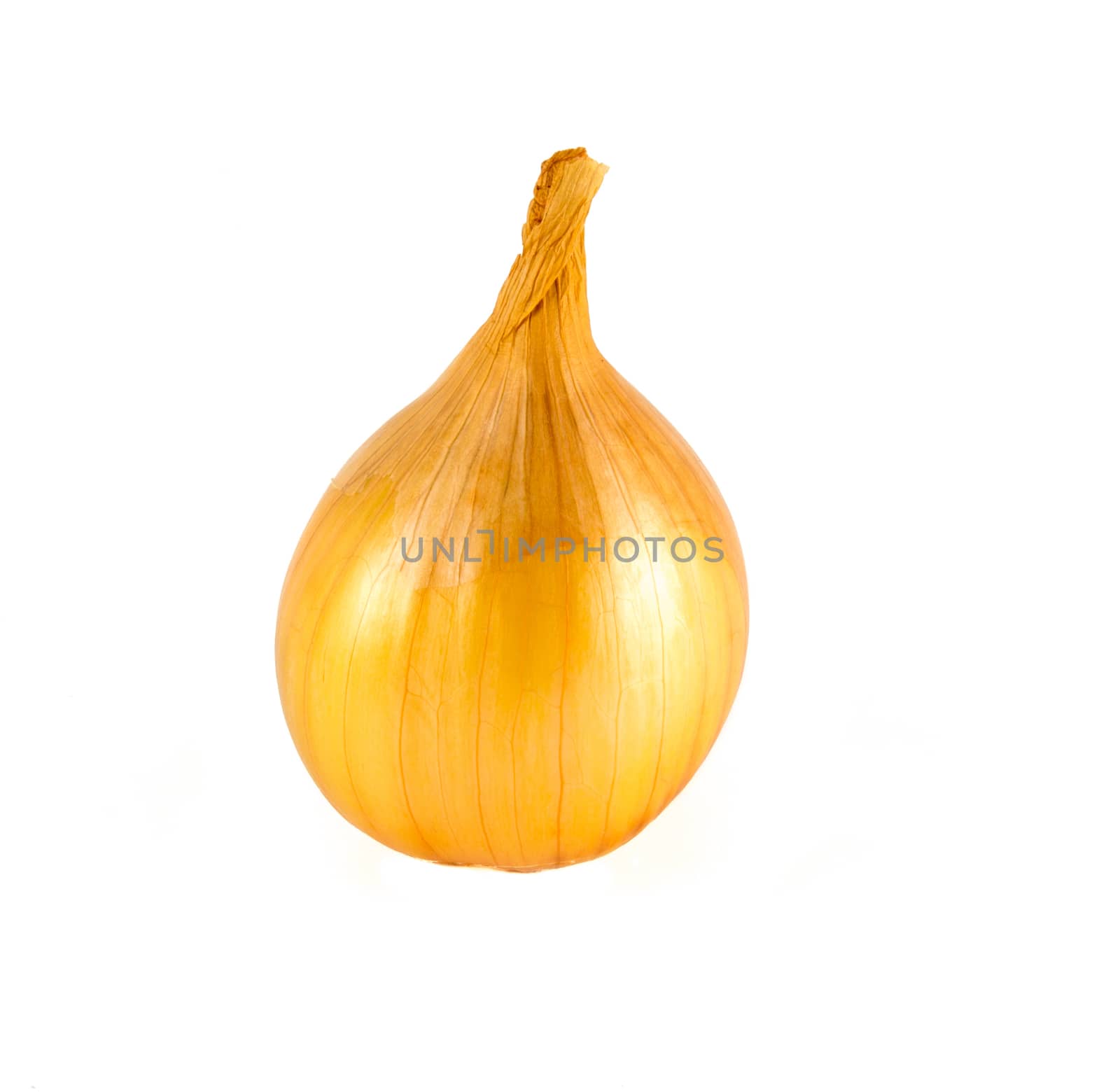 Golden onion on white background isolated