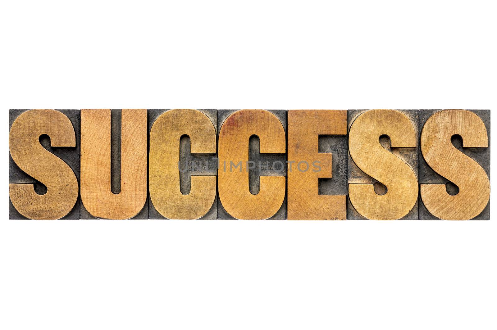 success word typography - isolated word in letterpress wood type