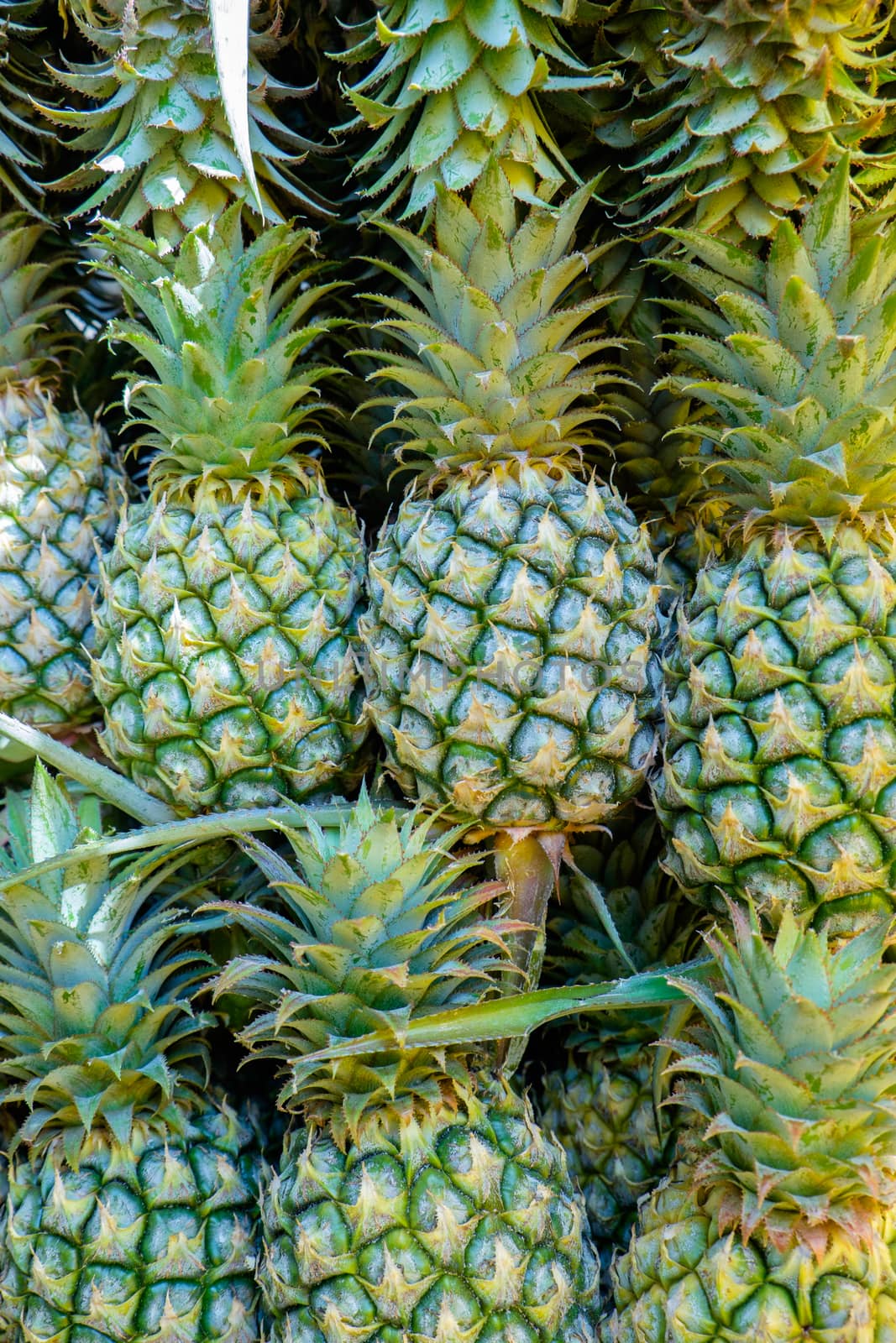 pineapples in a market place