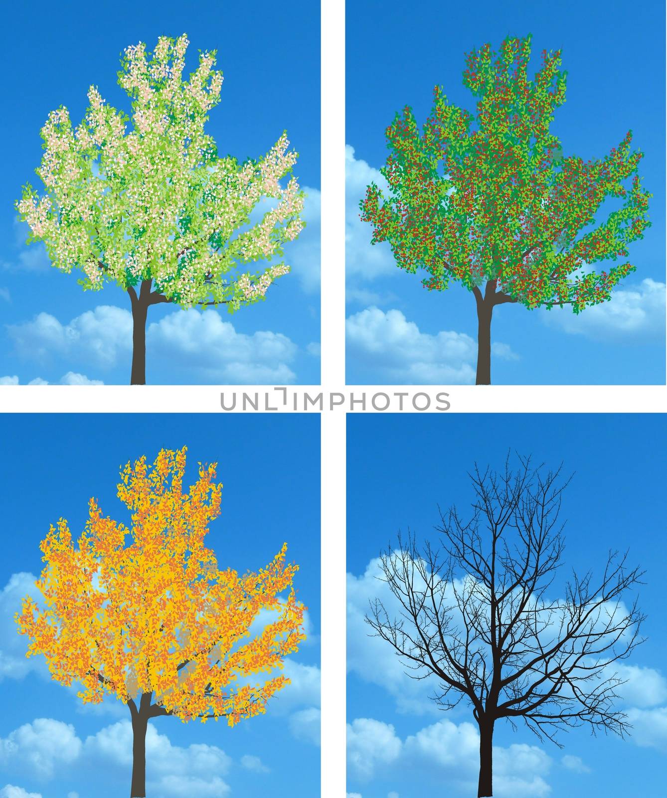 Tree in four sections of the four seasons, spring, summer, autumn and winter