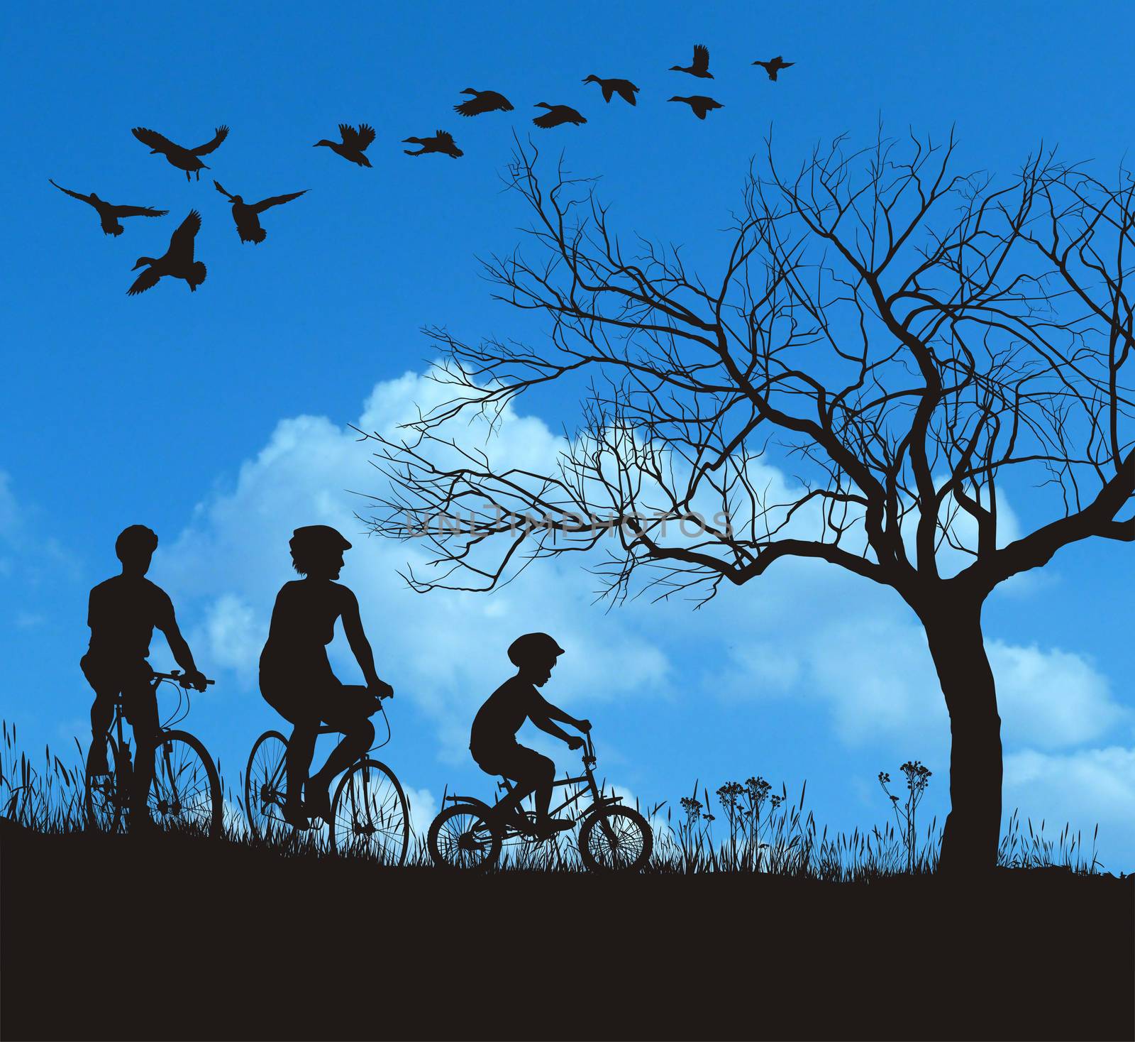 Illustration of women, men and boys on bicycles in the countryside.
