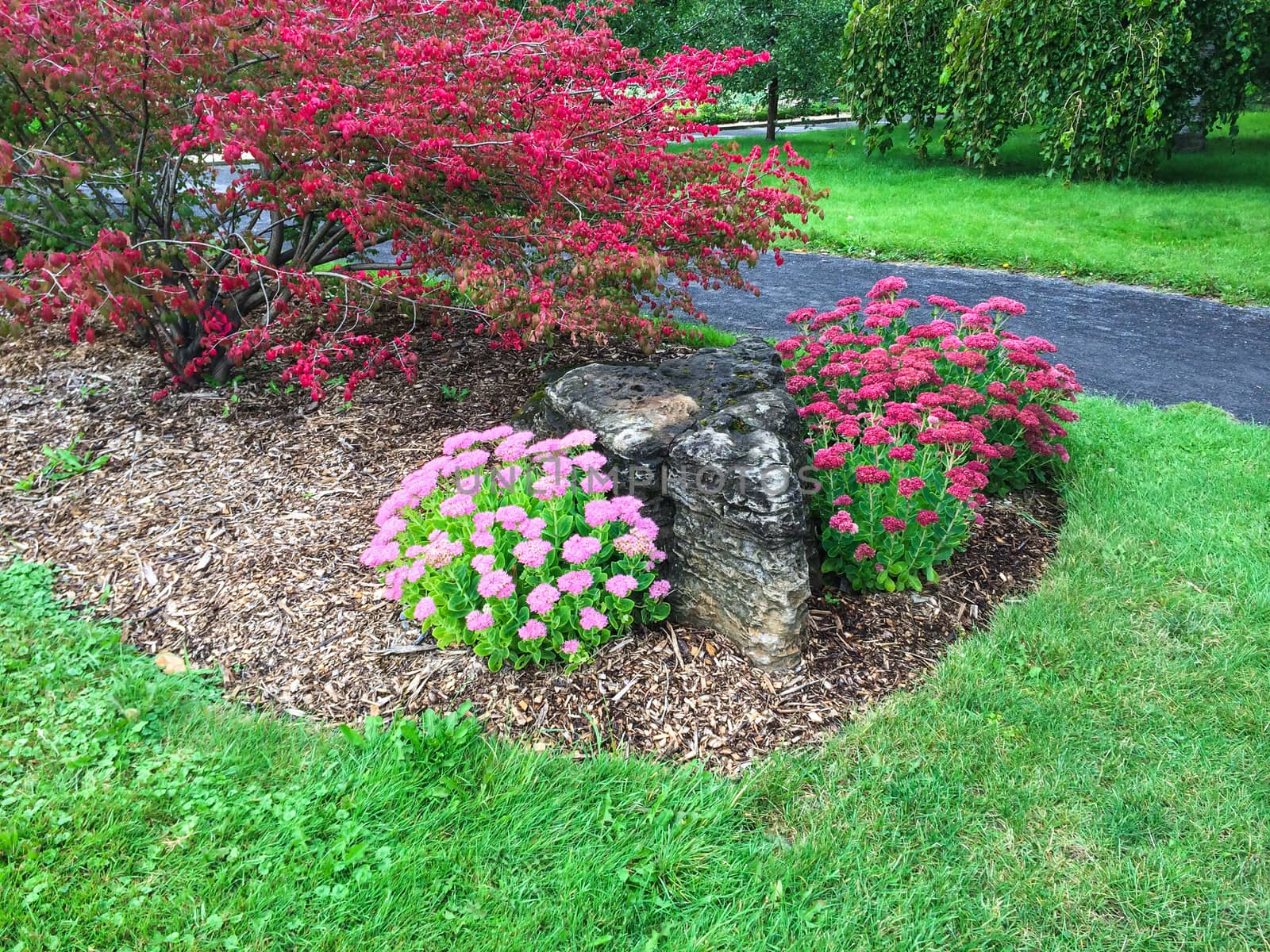 Colorful blooming garden with green lawn and pathway.