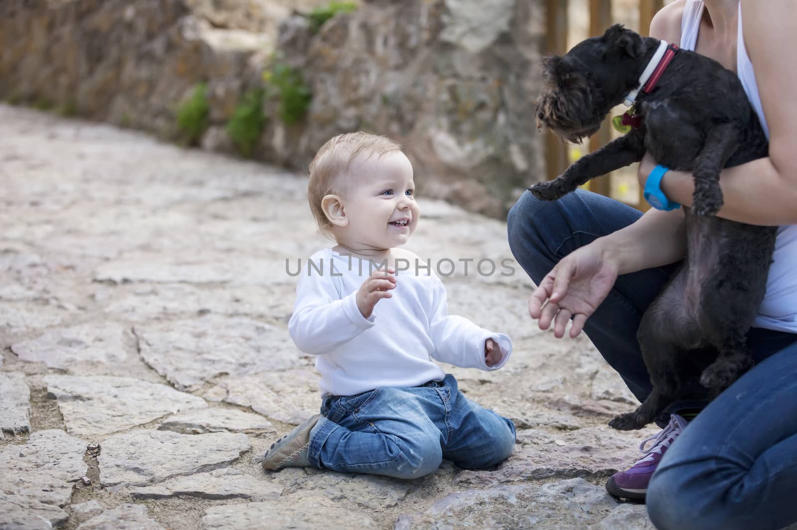 Cute little boy looking at dog in mother's hands by photobac