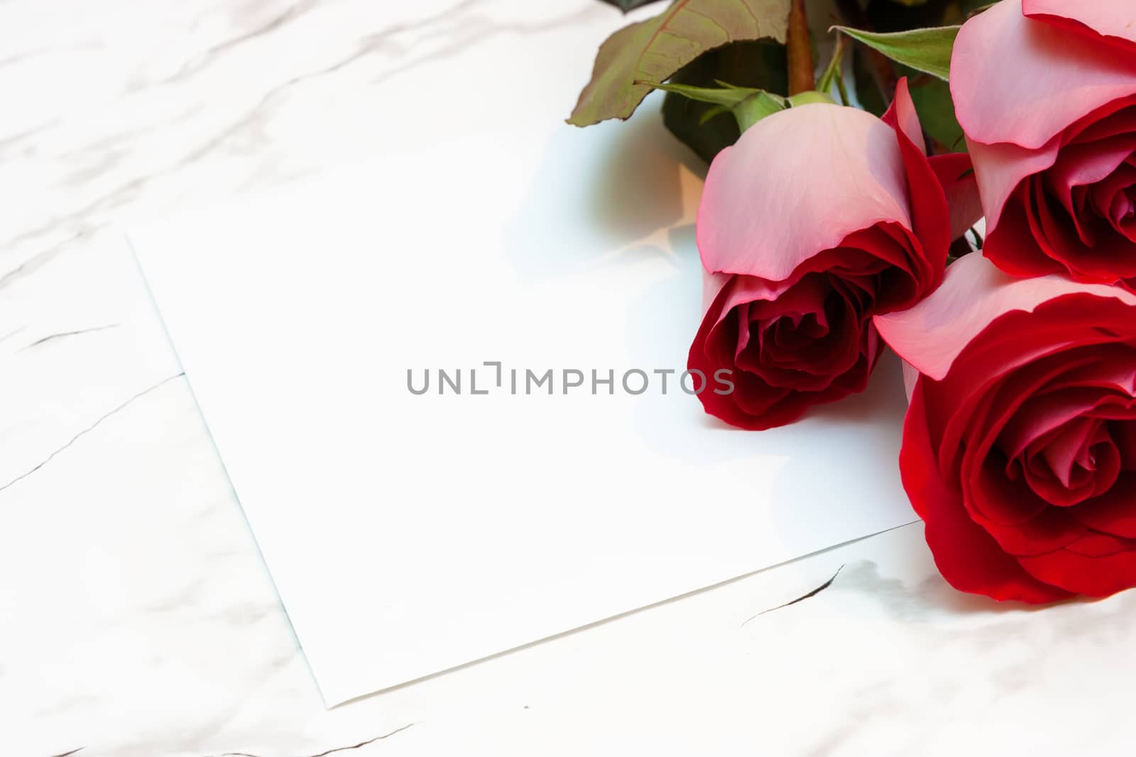 three roses and a blank sheet of paper on a marble surface