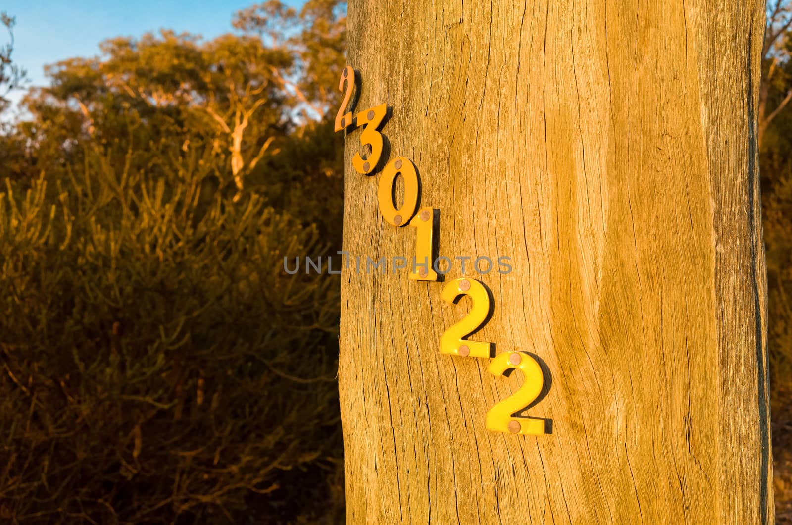 Photograph of telephone pole numbers in the sunset