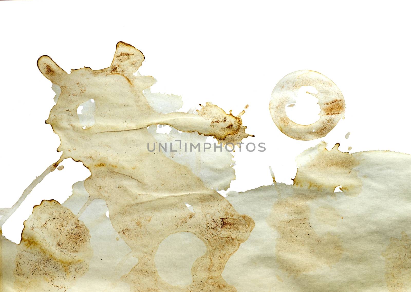 Circle shape coffee stains on white background.