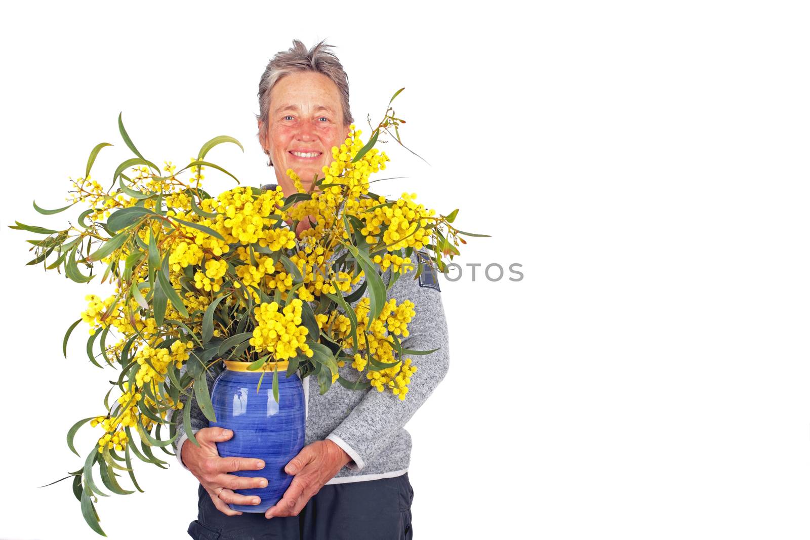 Beautiful mature woman with a vase of mimosa blossoming by devy