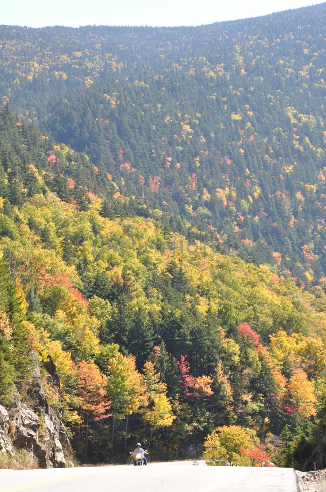 Fall Colors at the White Mountain National Forest in New Hampshire by sainaniritu