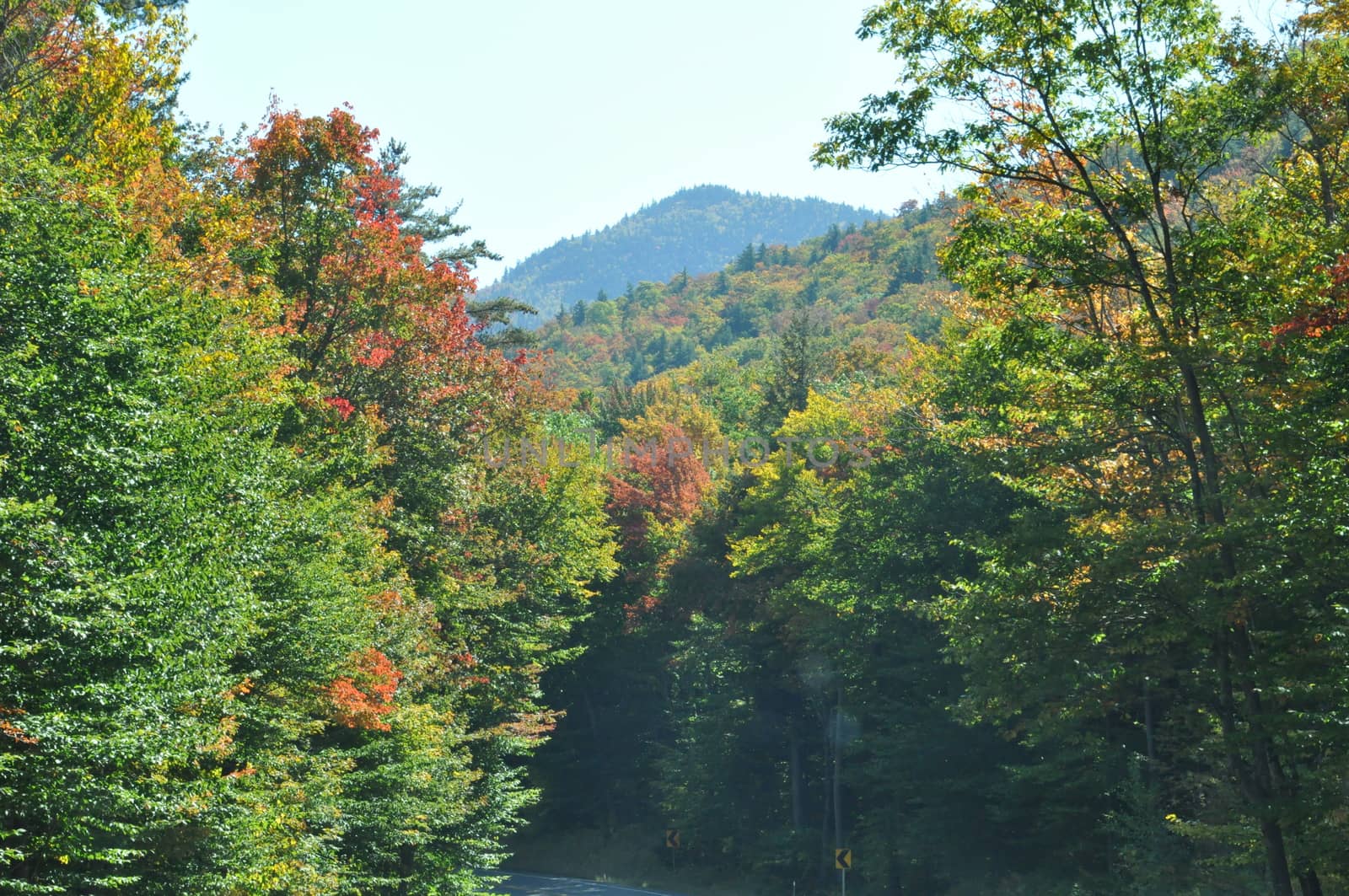 Fall Colors at the White Mountain National Forest in New Hampshire by sainaniritu