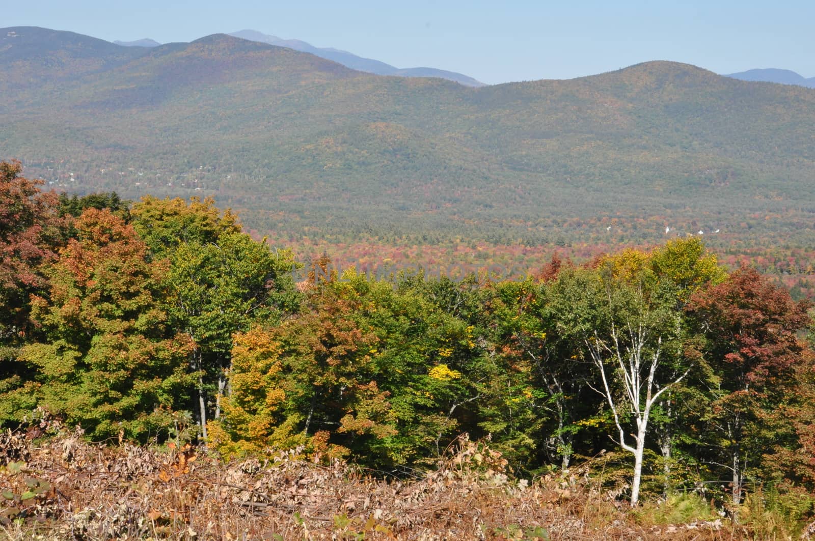 Fall Colors at the White Mountain National Forest in New Hampshire by sainaniritu