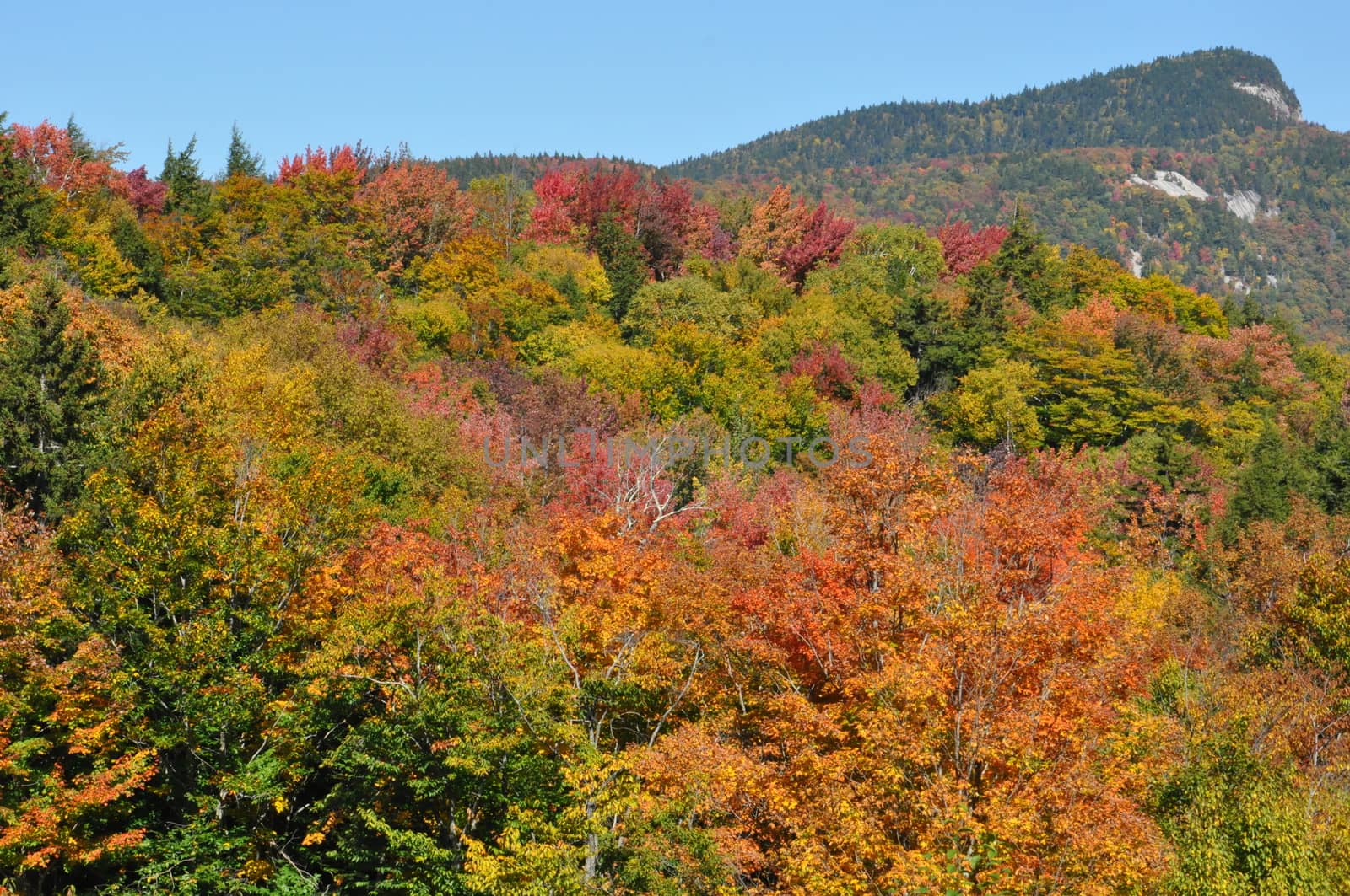 Fall Colors at the White Mountain National Forest in New Hampshire by sainaniritu