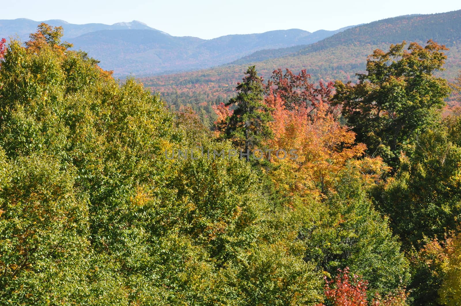 Fall Colors at the White Mountain National Forest in New Hampshire by sainaniritu